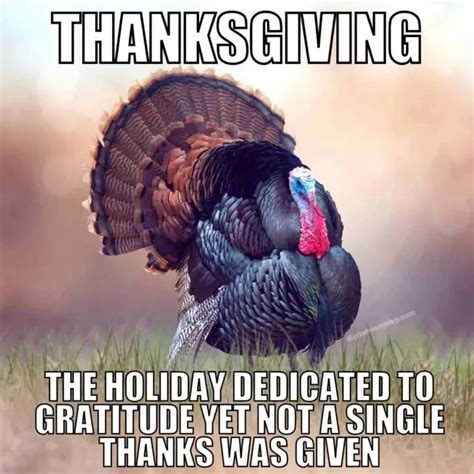 thanksgiving turkey meme|More.